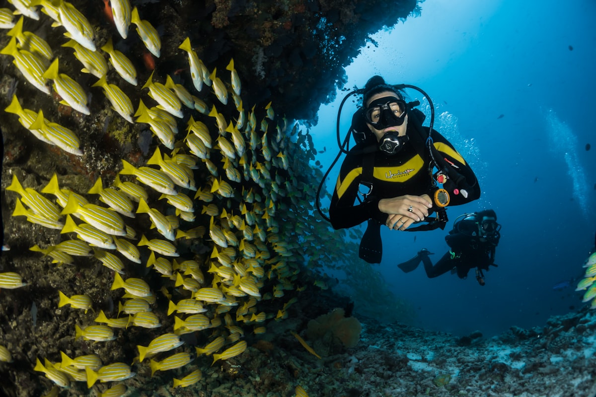 Karimunjawa — Surga Tropis
